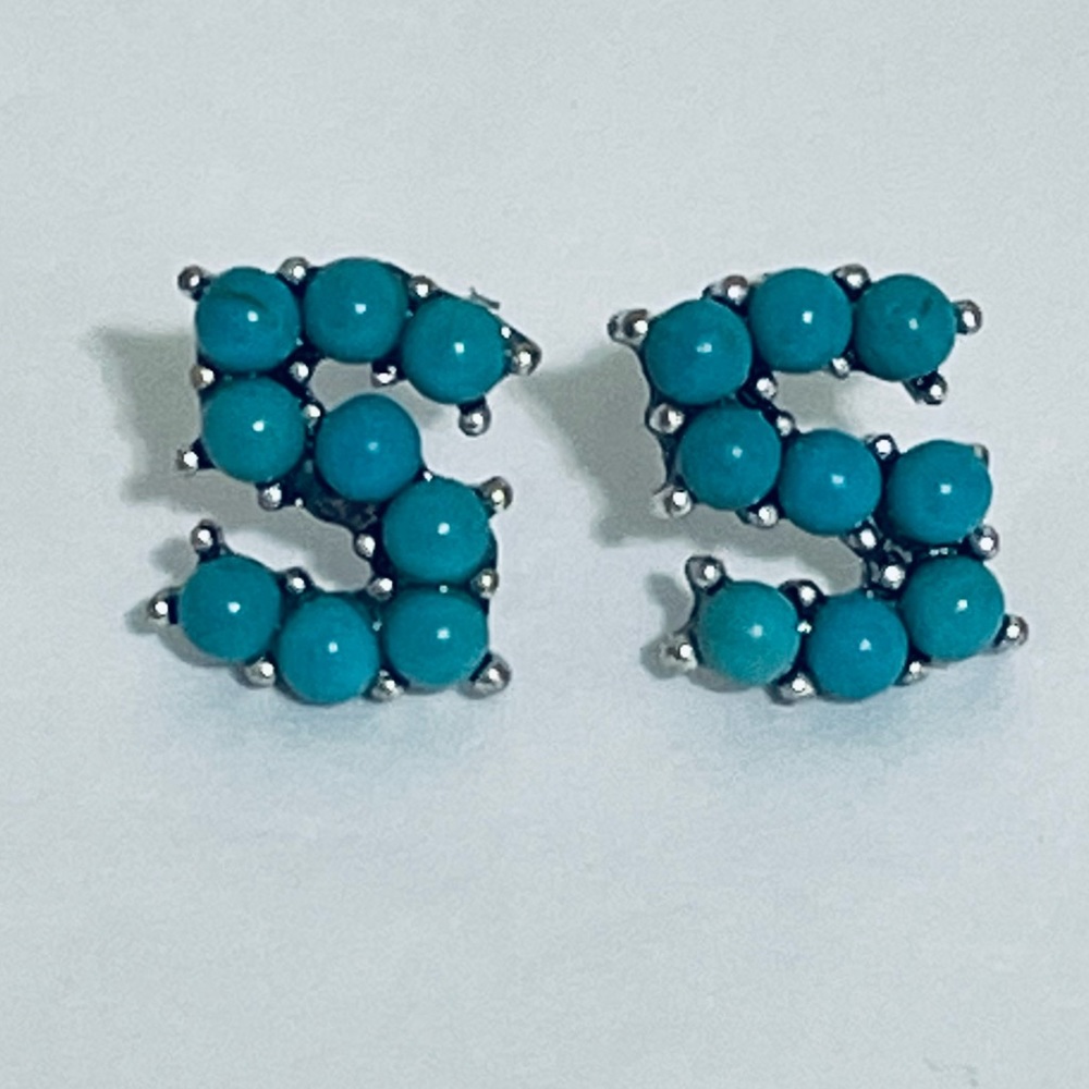 🎉❤️HOST PICK!! Monogram Initial “S” Turquoise Beaded Earrings